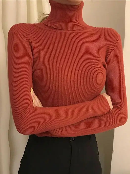 Alina™ | TIMELESS & TRENDY TURTLENECK